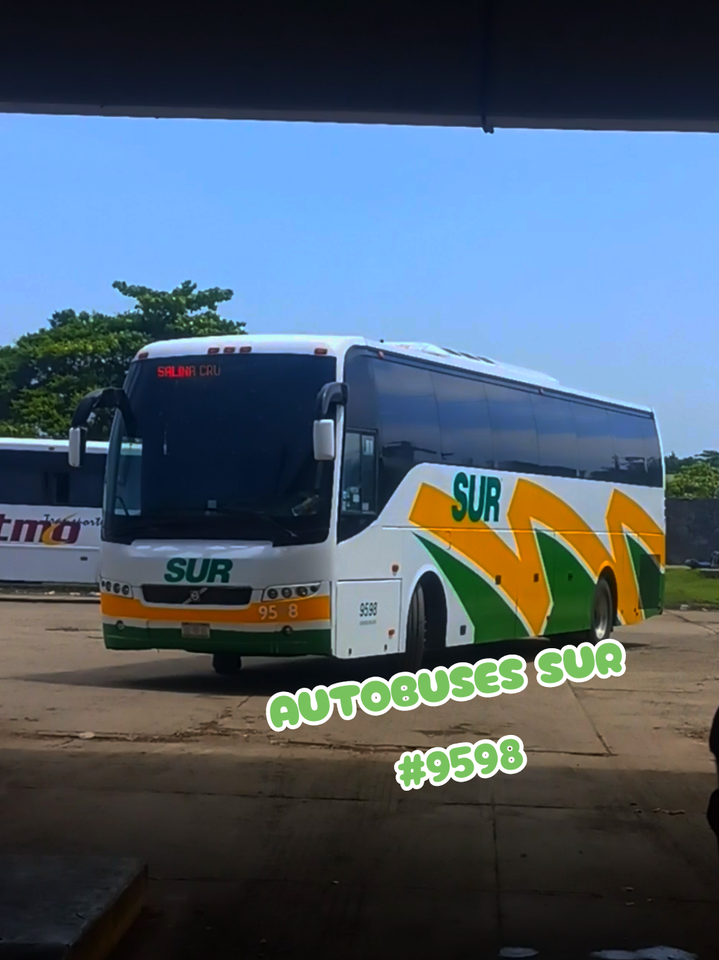@Busologia Veracruzana 🍀🚍