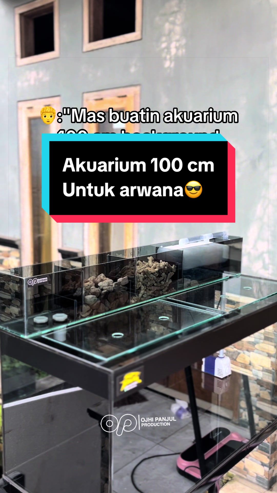 @Panjul Aquafish
