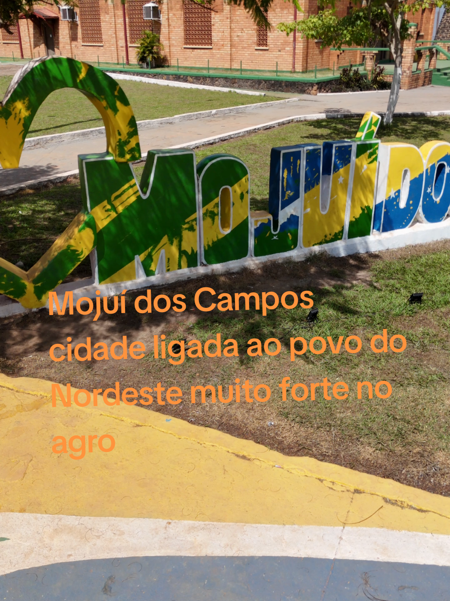 @Floresta de Areia