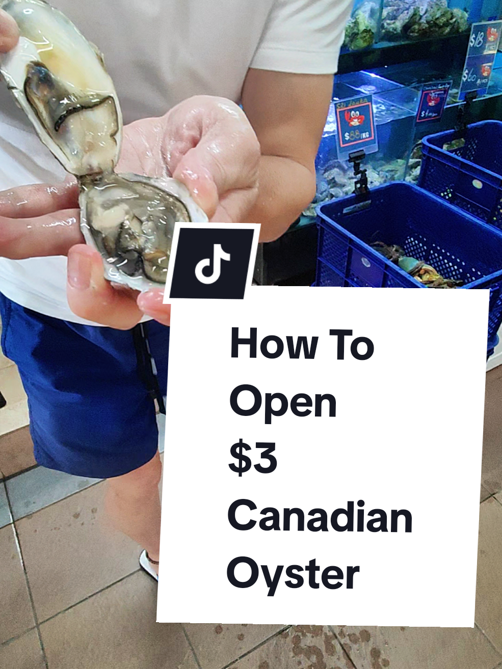 @Live Seafood Supply @ Crabtalk