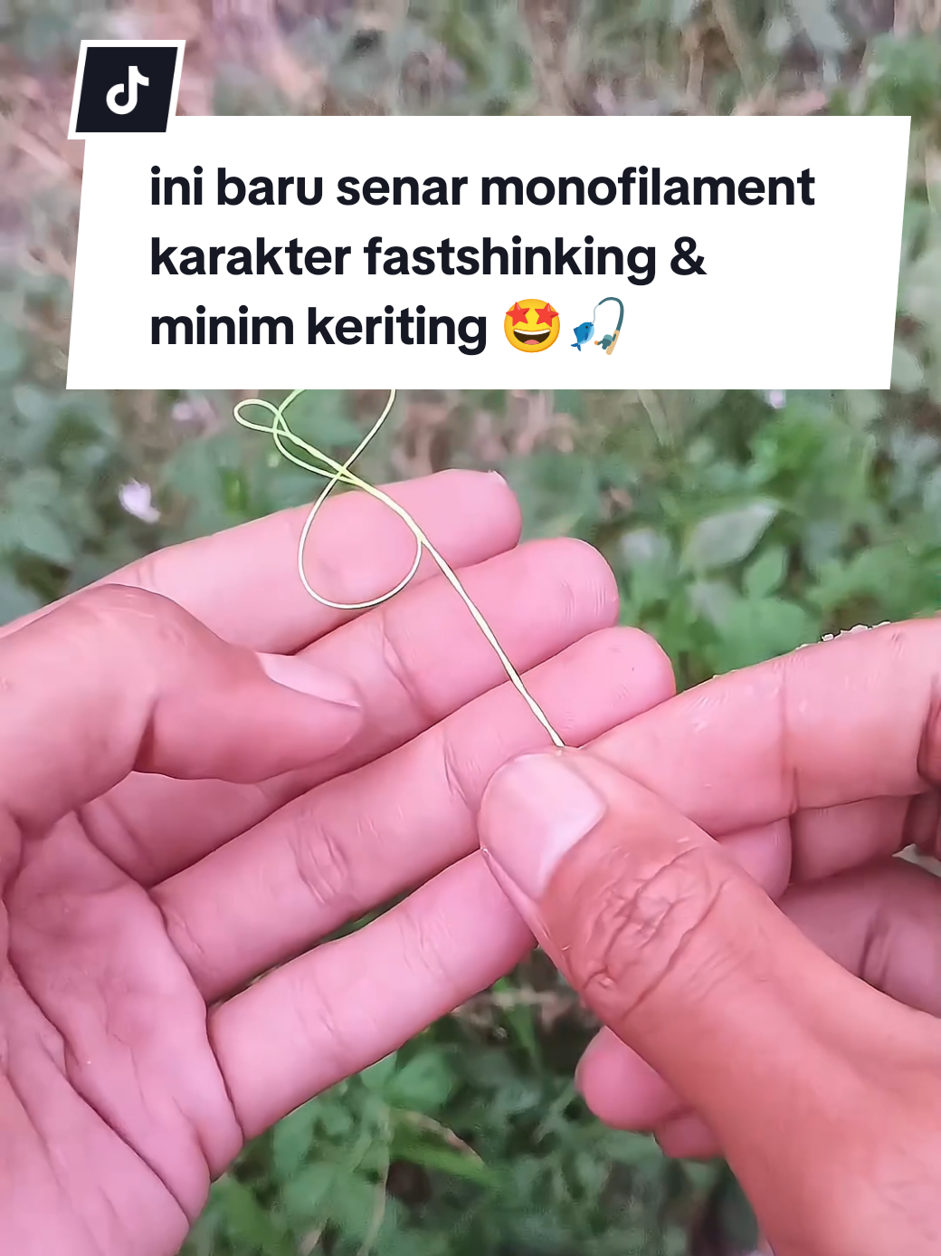@TIE Fishing