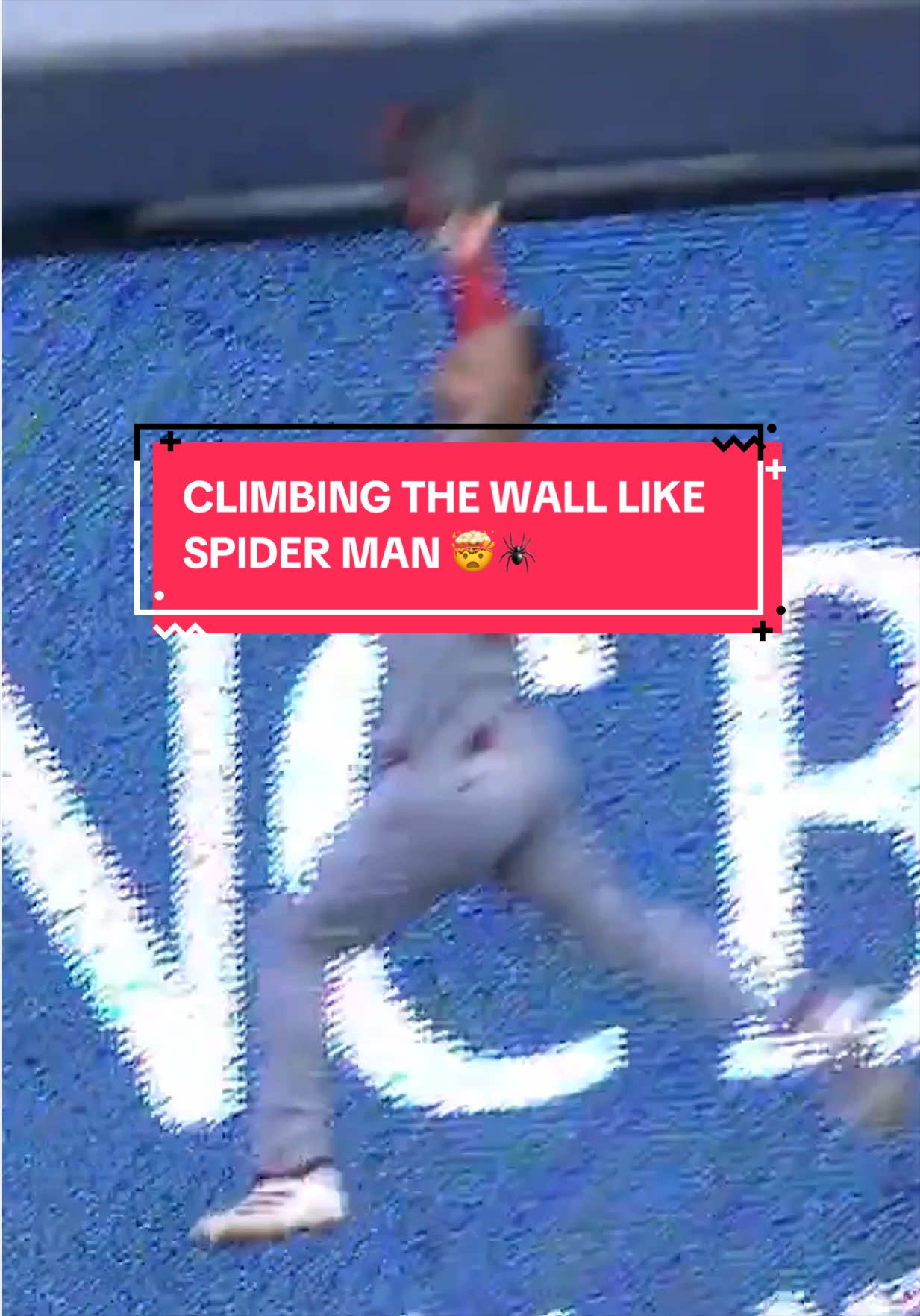 @TSN