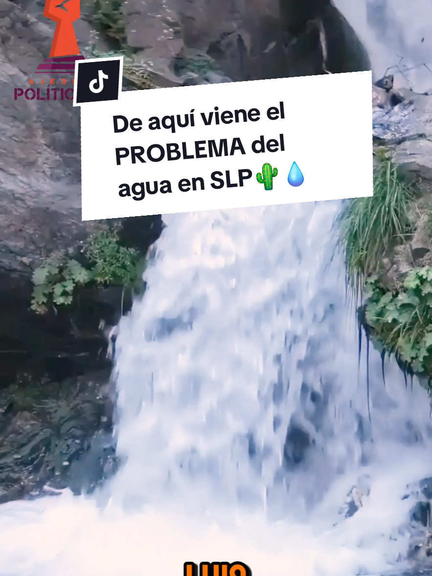 @Ajedrez Político MX