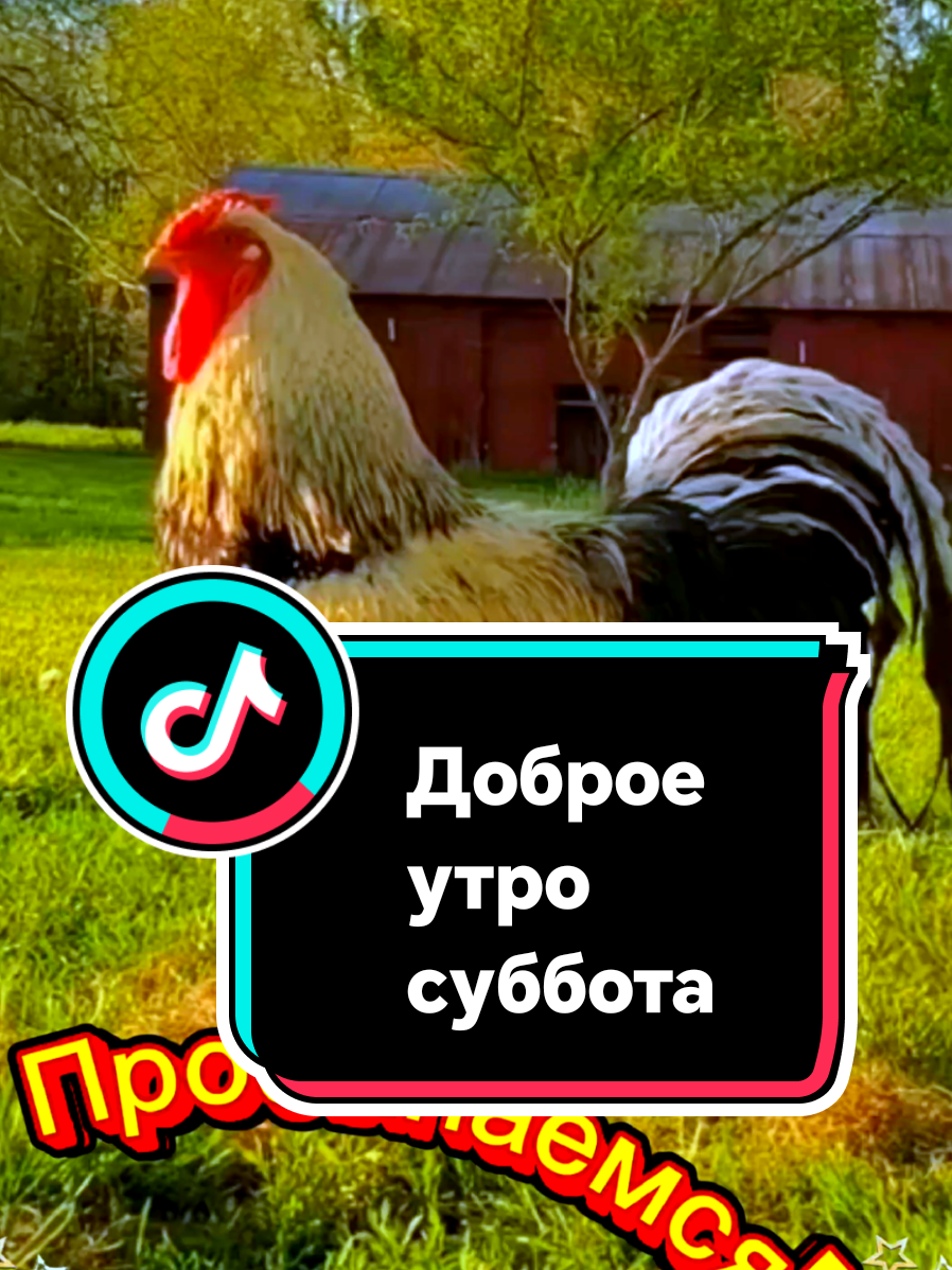 @꧁༺ 𝓛𝓮𝓷𝓸𝓬𝓱𝓴𝓪 ༻꧂