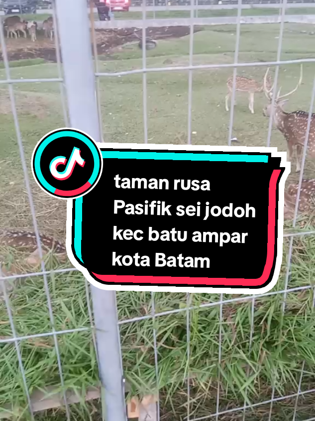@AGAA ERLANGGA