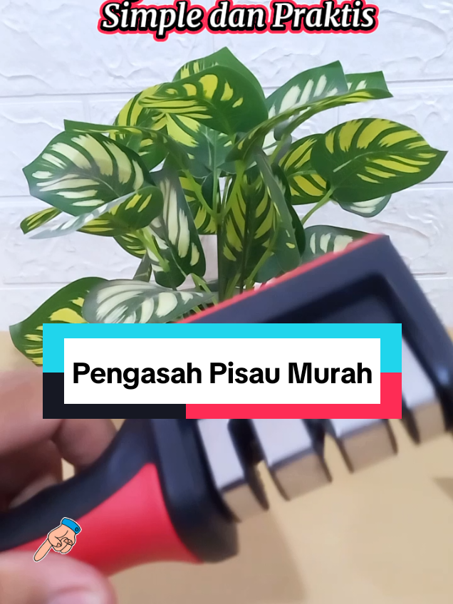 @Roslan.Robert