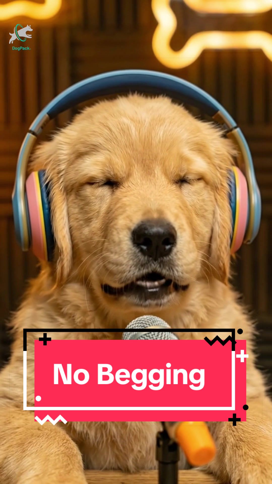 @DogPack