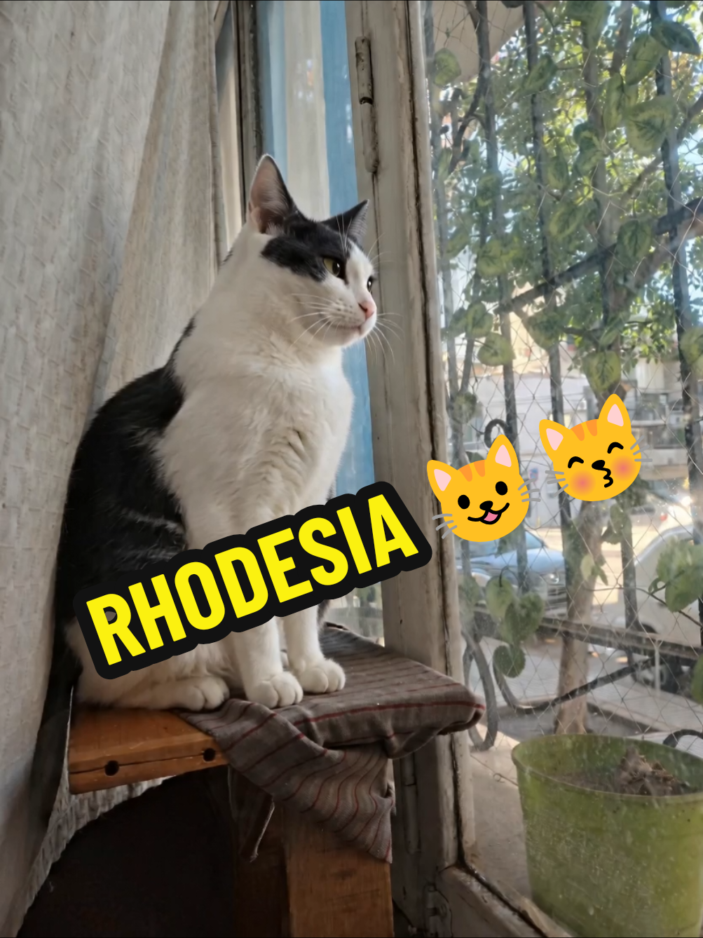 @TITA y RHODESIA
