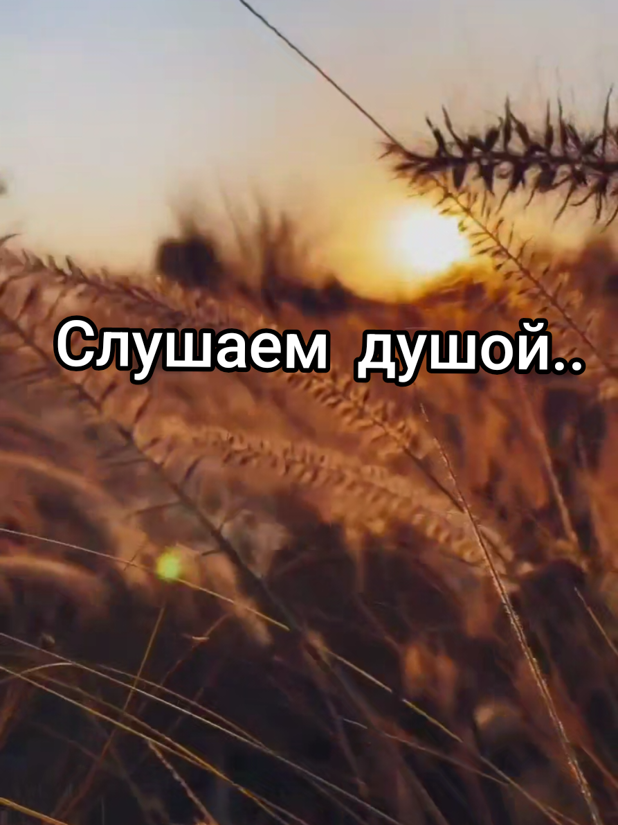 @💥МУДРАЯ ЖИЗНЬ