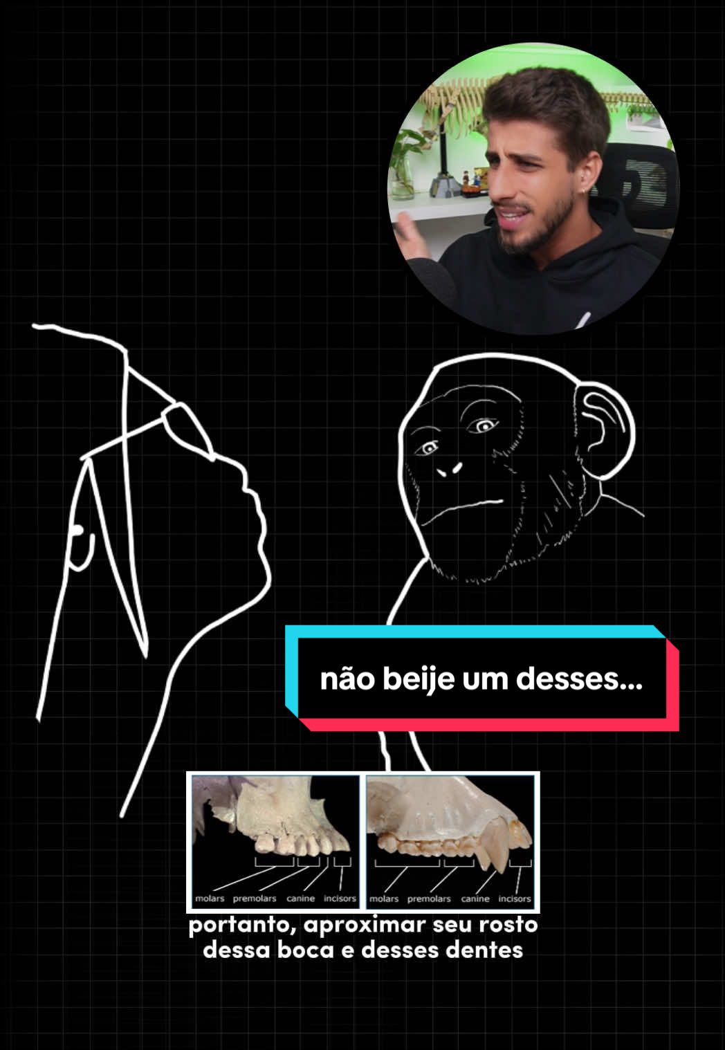 @Yago Stephano
