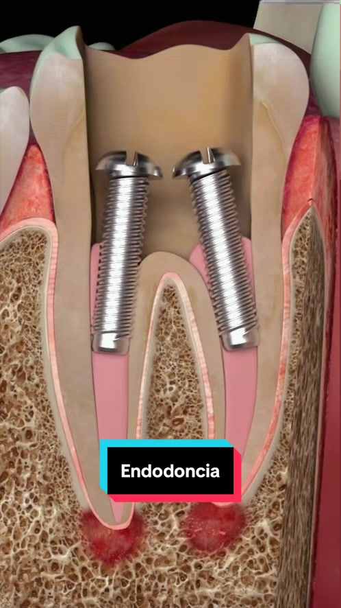 @Clínica Dental Sonrident