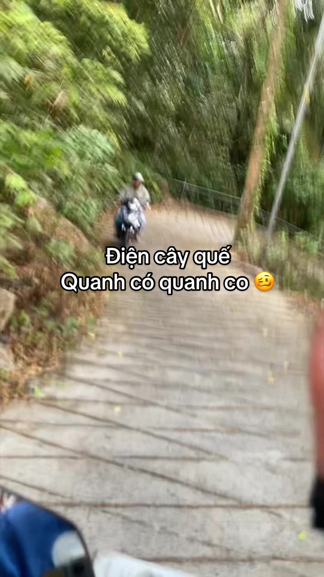 @🪷Diệu Hạnh📿