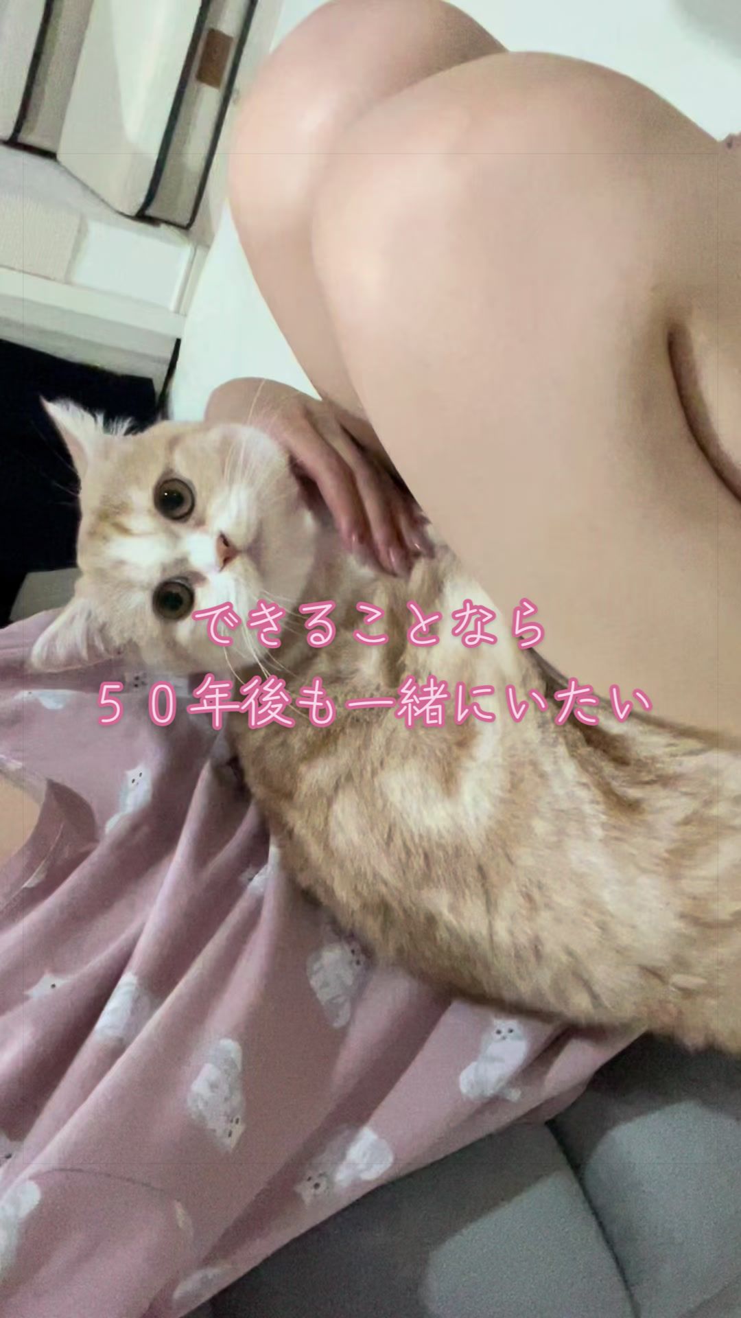 @ใปใฃใ๐๐