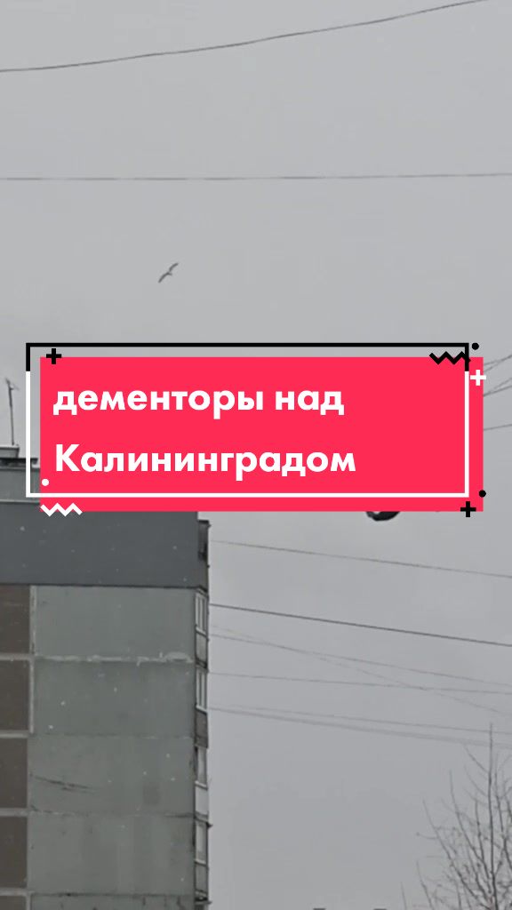 @Irina Triger