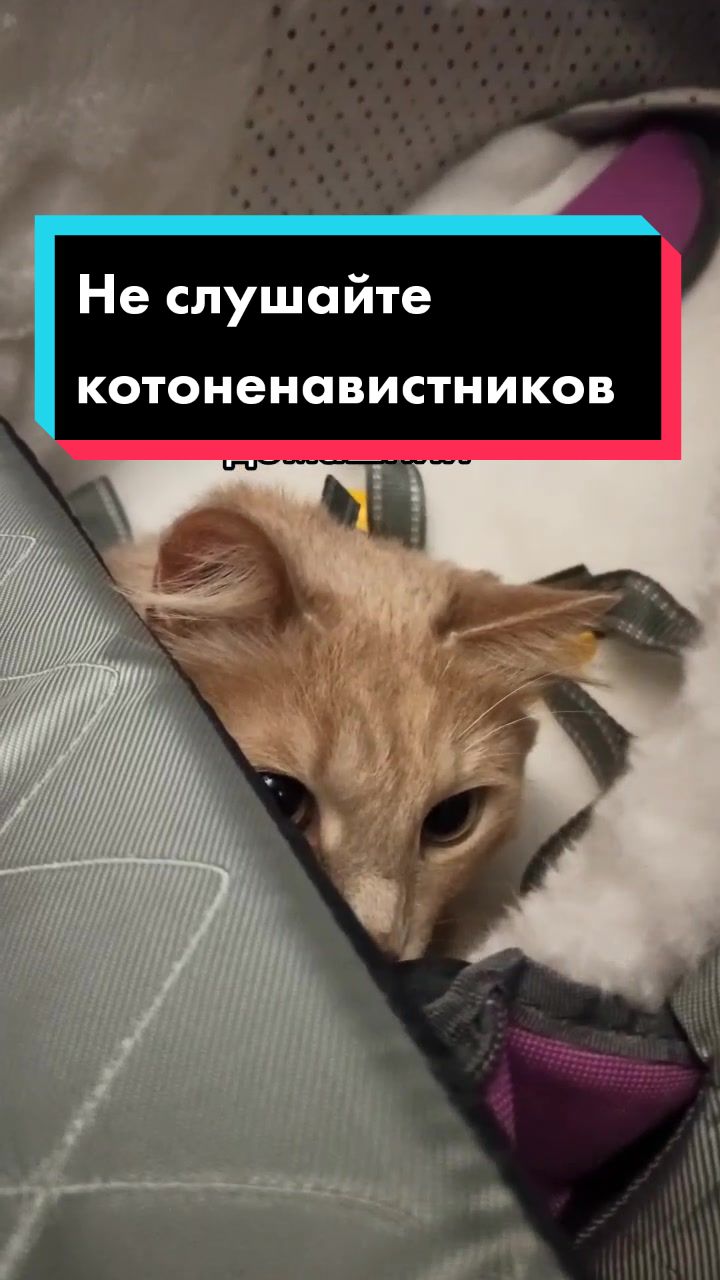 @leva.opakot