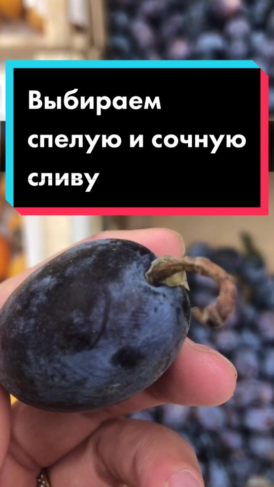 @Разрушительница мифов😎