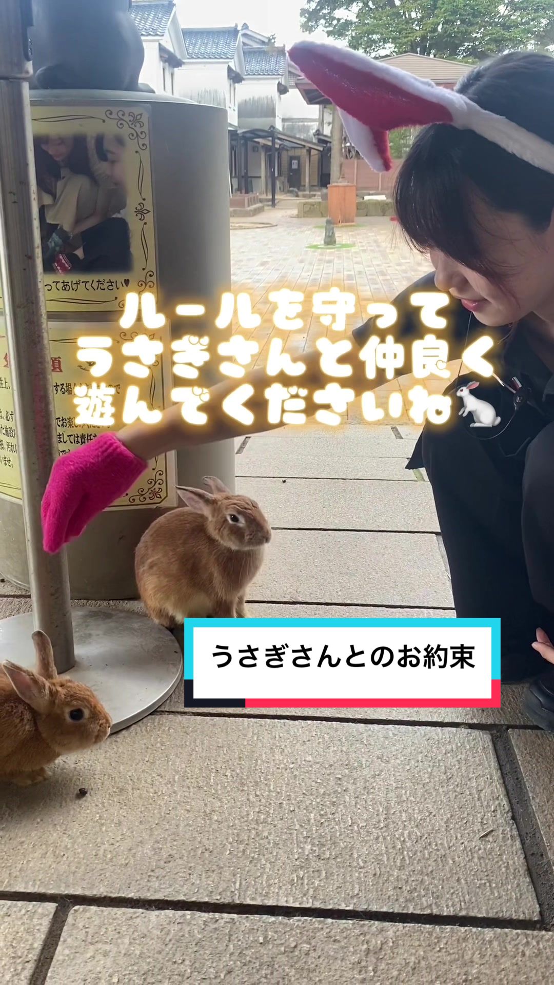 @【公式】月うさぎの里