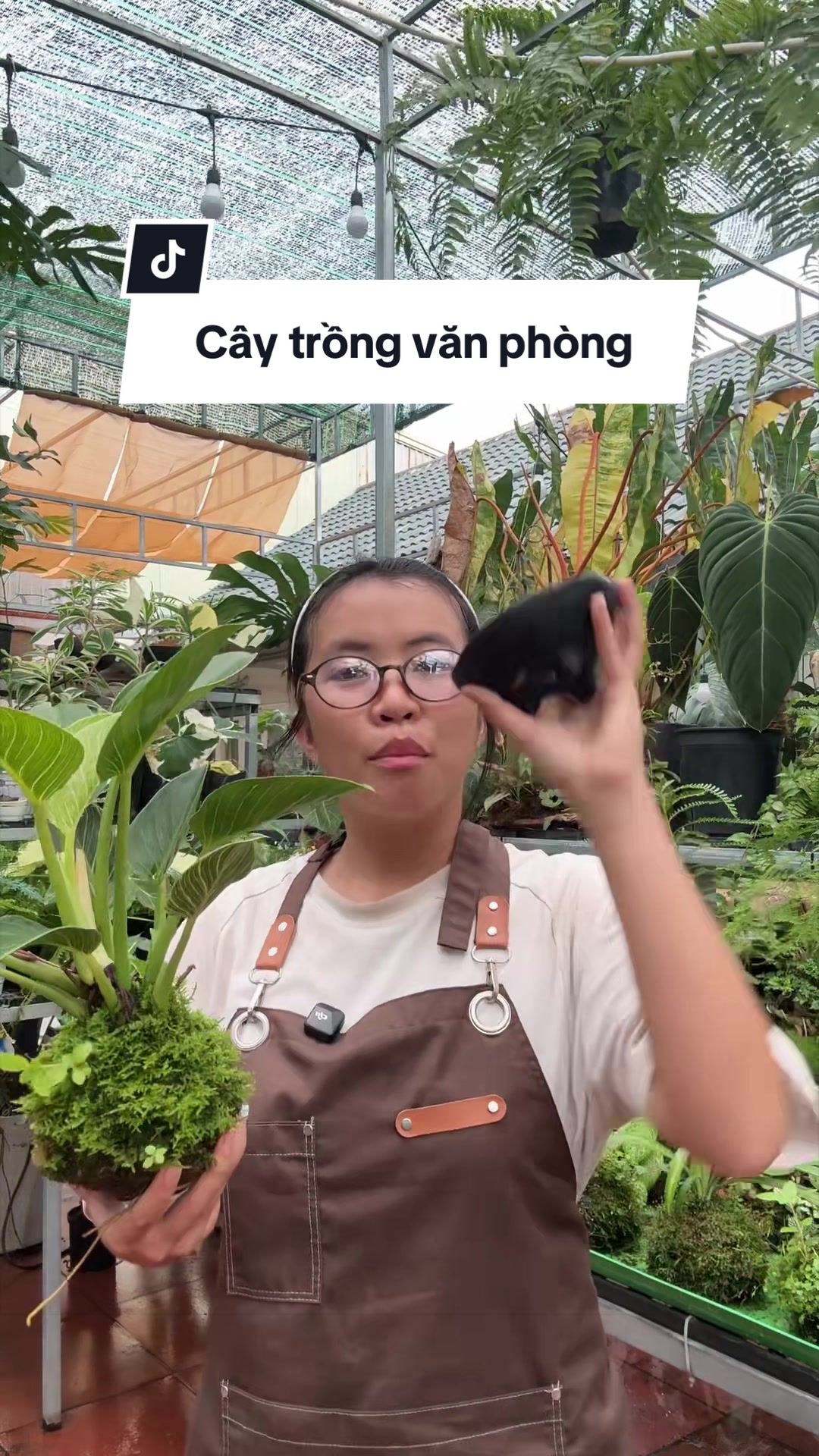 @Vuoncuakien
