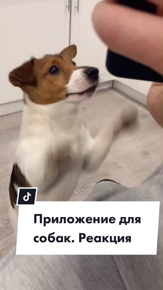 @user79579135880