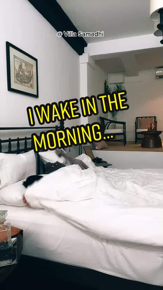 @pipidoudoupet