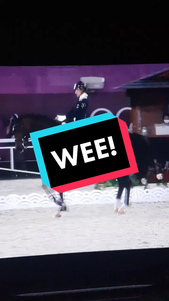 @Artline Dressage