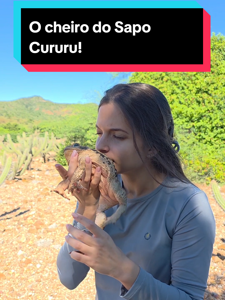 @Princesa das Serpentes