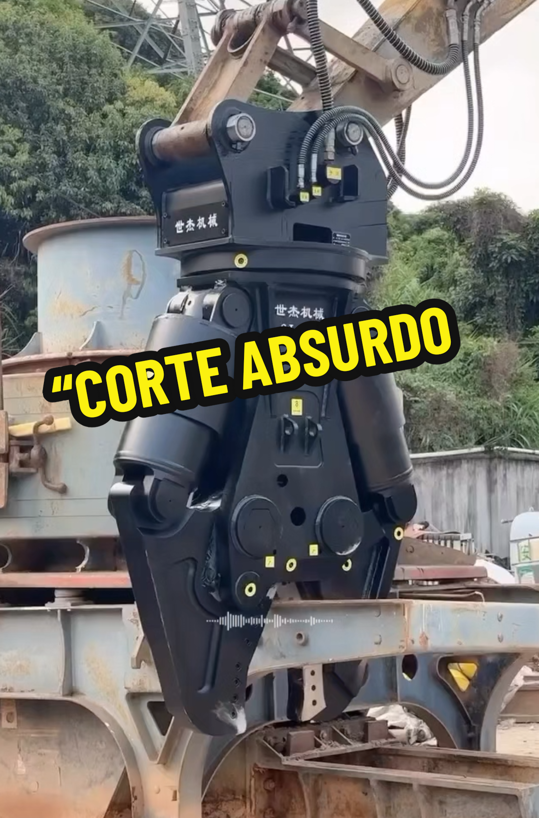 @RAIZ DO SABER