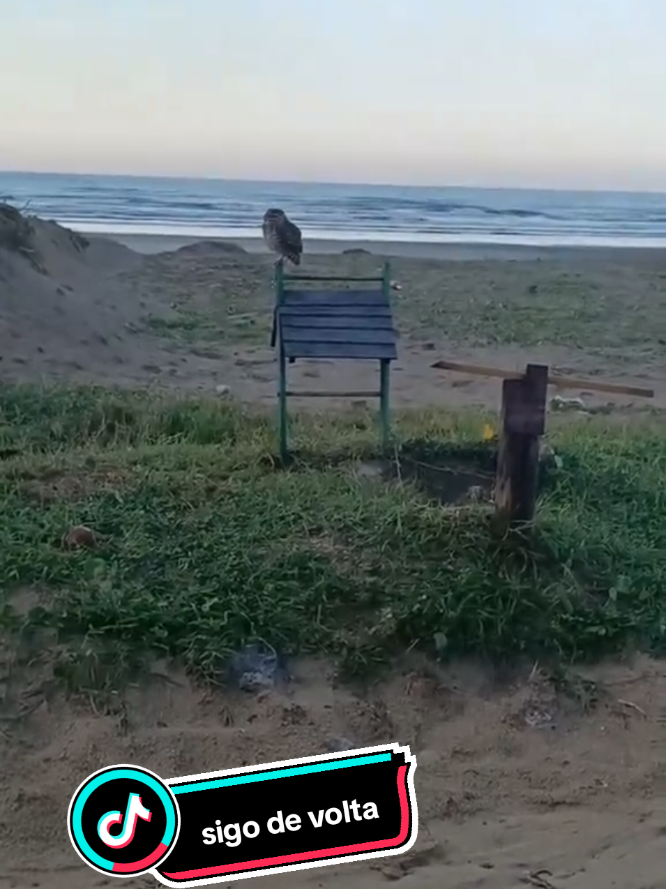 @🦁@ Tá sabendo Itanhaém? 🦁