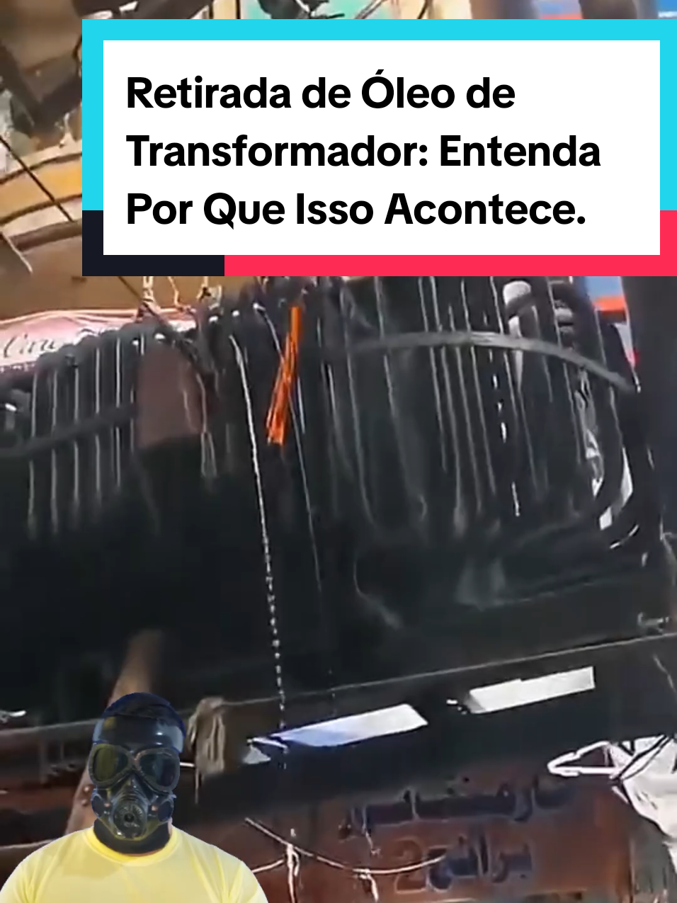 @Mundo da Curiosidades