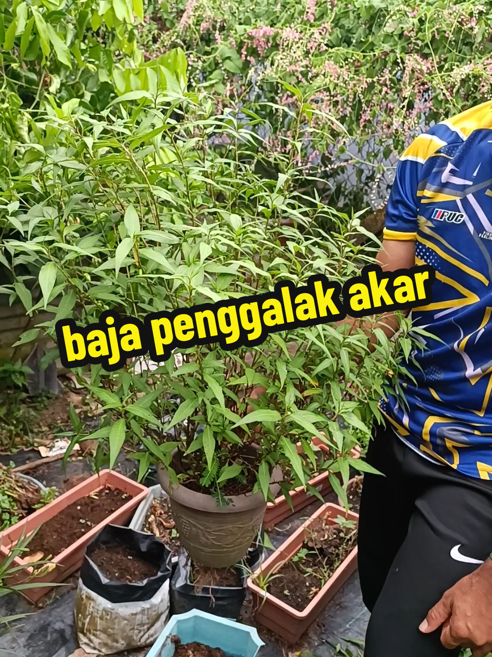 @Janah | Housewife |Lifestyle🌱