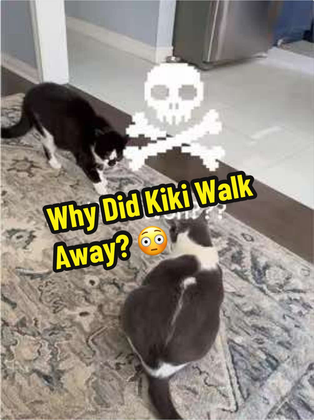 @TEAM KIKAGO