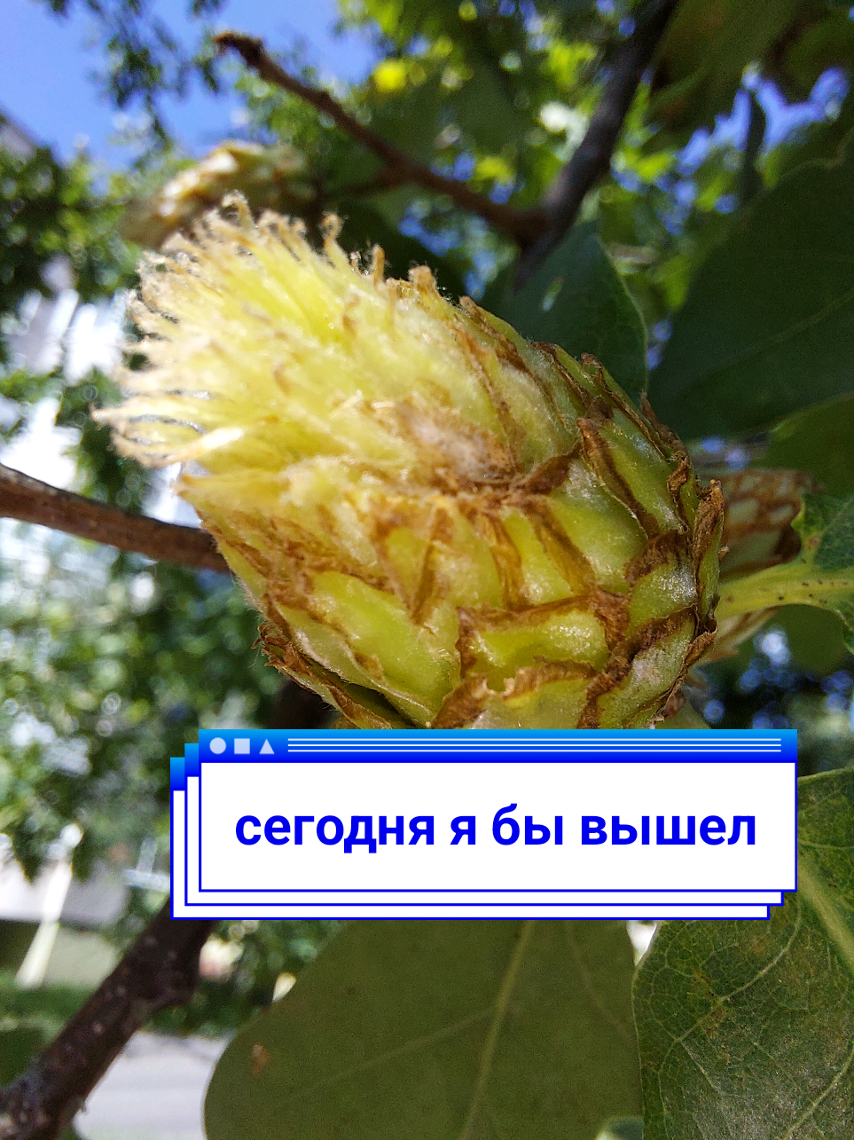 @Рыся✔️🇧🇾