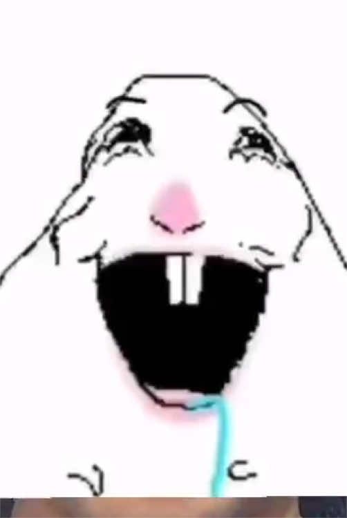 @Nirixi Animation