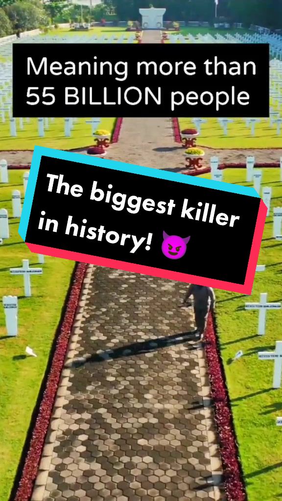 @interesting facts