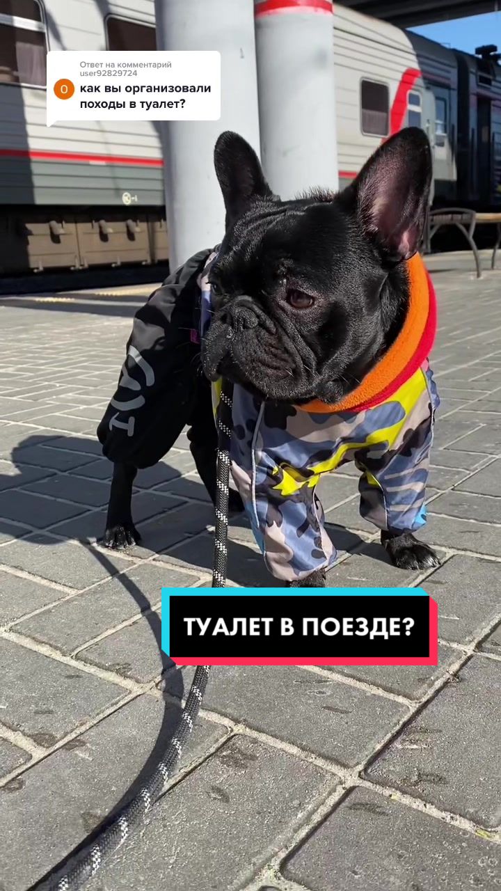 @Малыш Монти и Ди 🖤