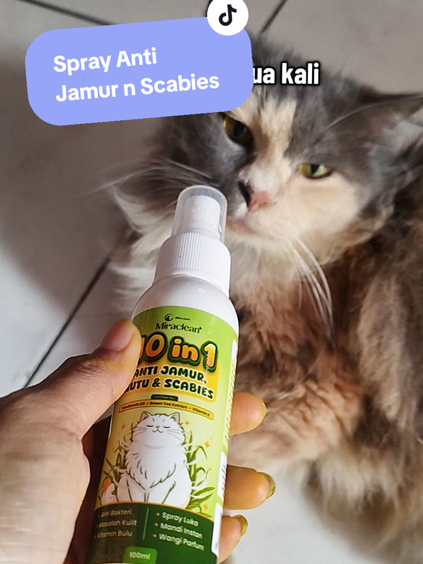 @Chiko Jelita