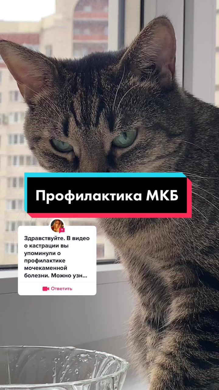 @Kristina