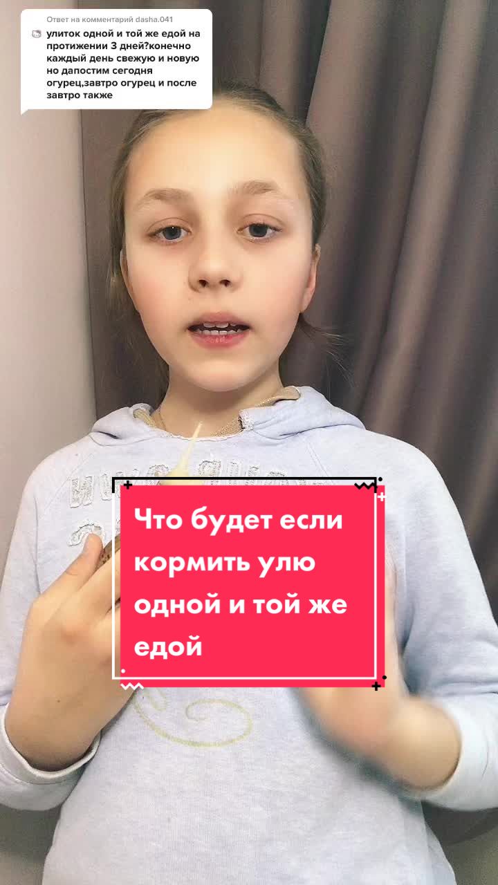 @Улиточки ахатины 🐌💕