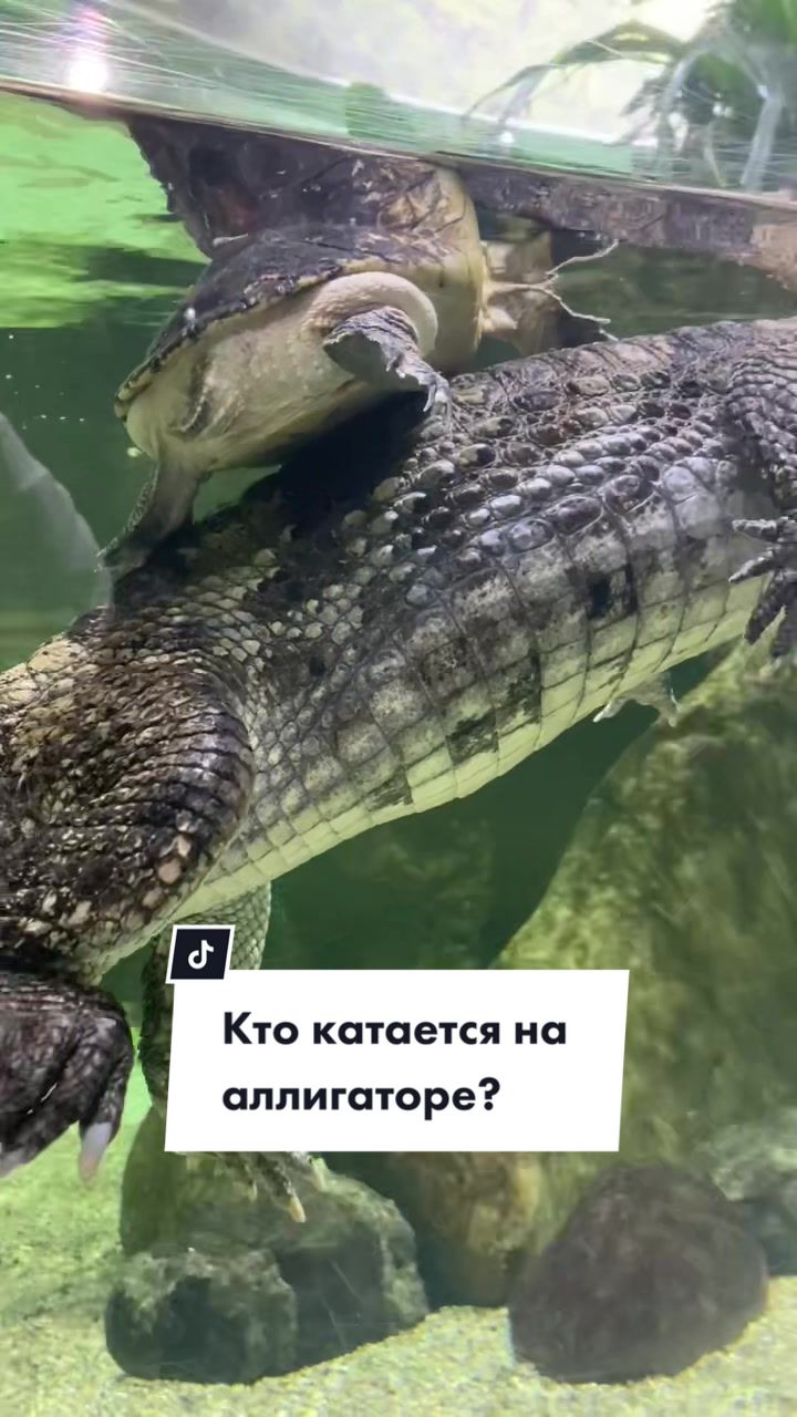 @МОСКВАРИУМ