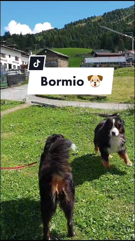 @Matilde Silvestri