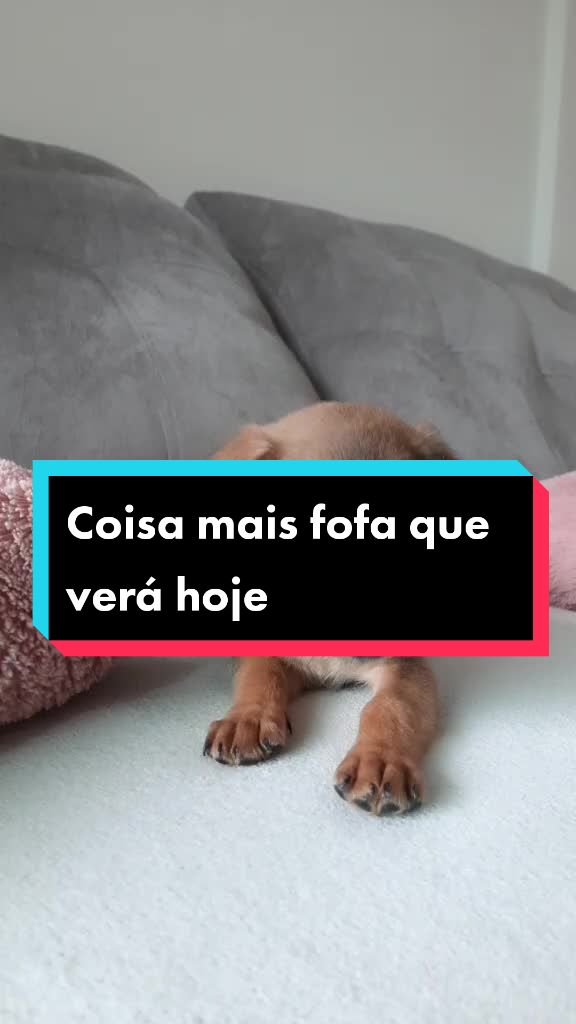 @Luke