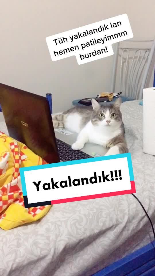 @MUBİ AY
