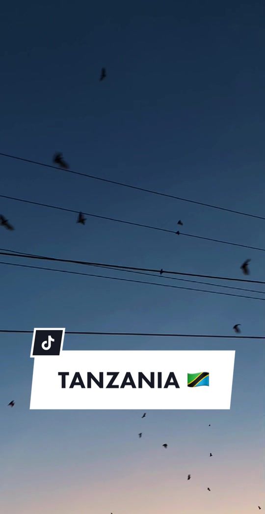 @kimtravel