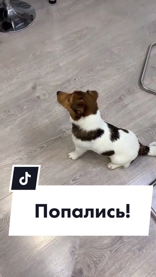 @user79579135880