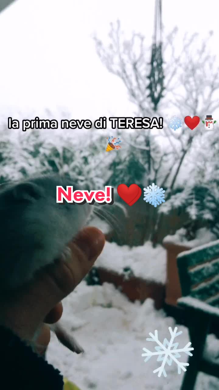 @susi_and_animals🐭🍀💕🎇
