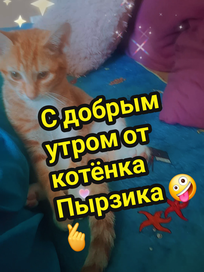 @💃Суперпуперсвета💘