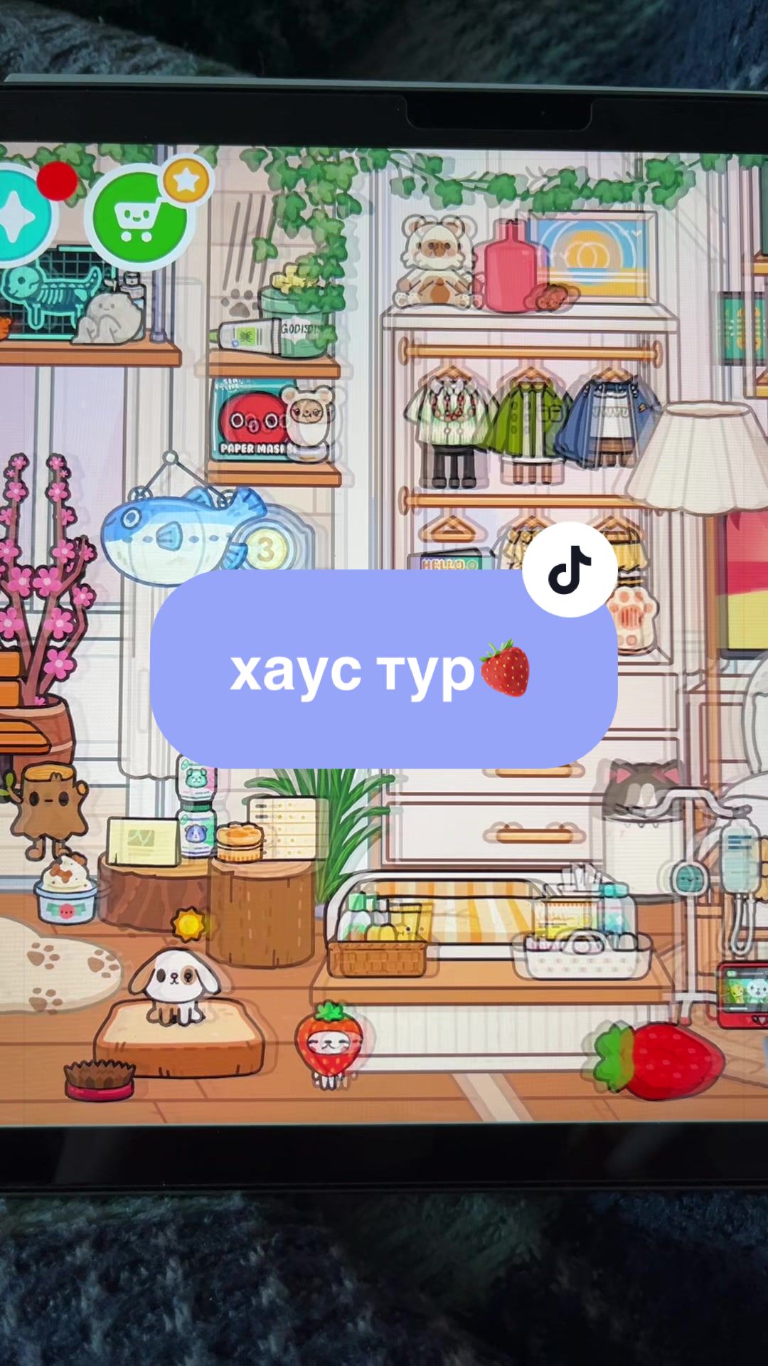 @۶ৎ ꒰ 🐚 𝑨𝑳𝑰𝑨𝑺𝑲𝑨ᵎᵎ 🍦ˎˊ˗