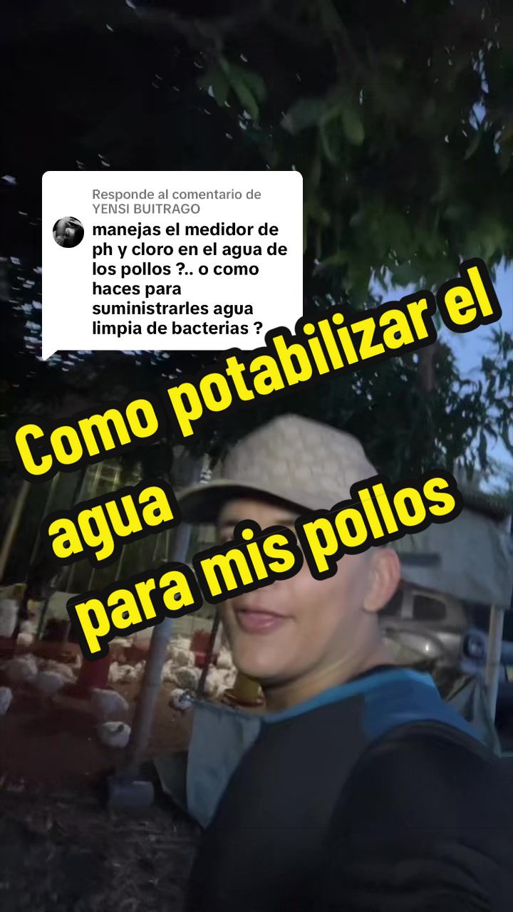 @elmagnatedelospollos