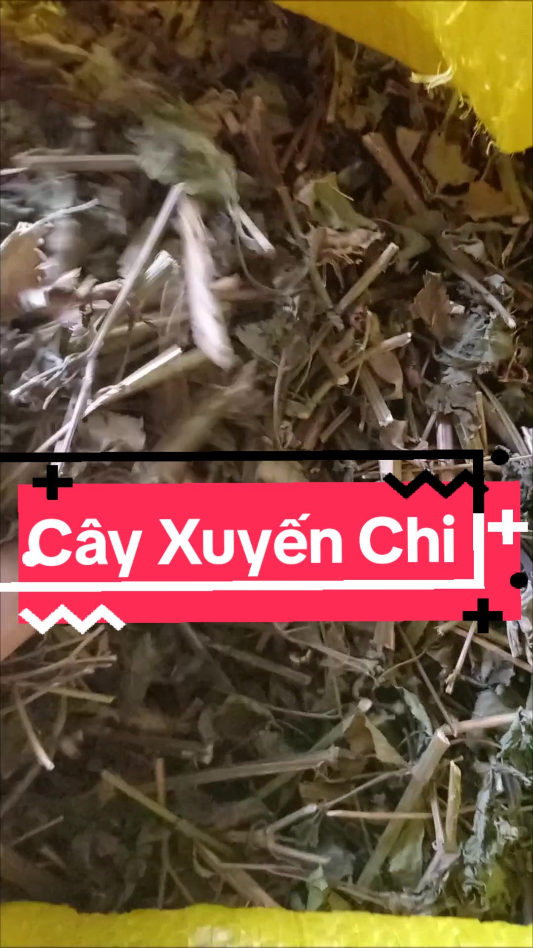 @BÁCH VỊ PHƯƠNG NAM