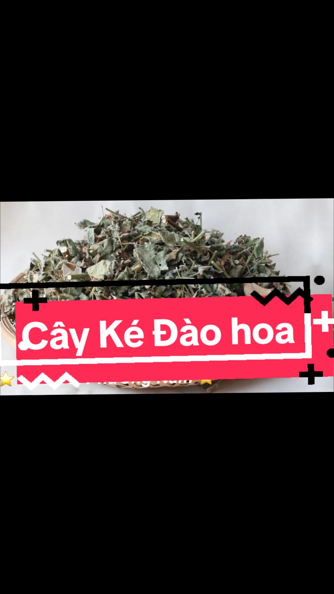 @B&Aacute;CH VỊ PHƯƠNG NAM